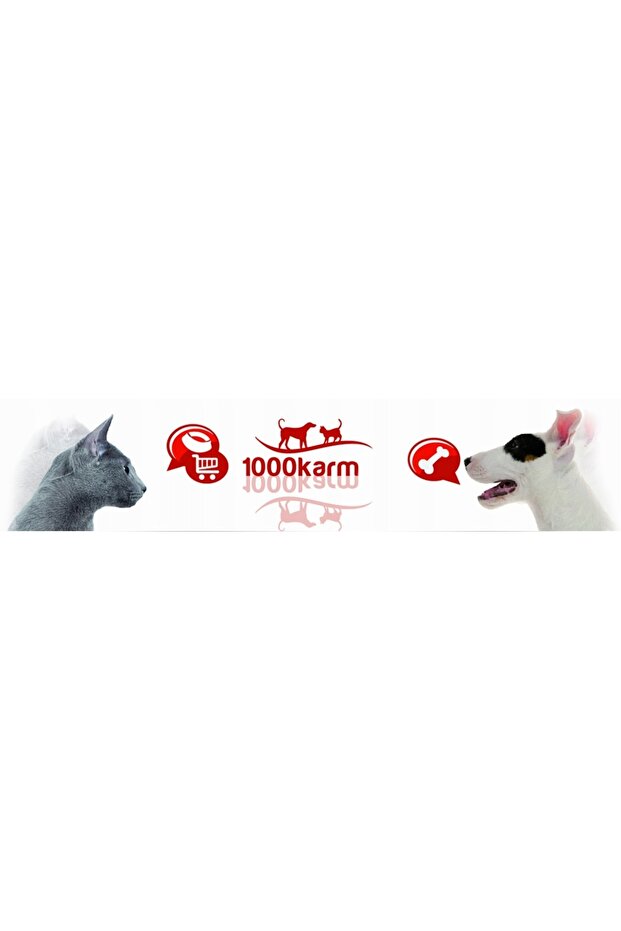 PROBIOTIC PASTE Probiotic and prebiotic for DOGS and CATS paste 50 g - 4
