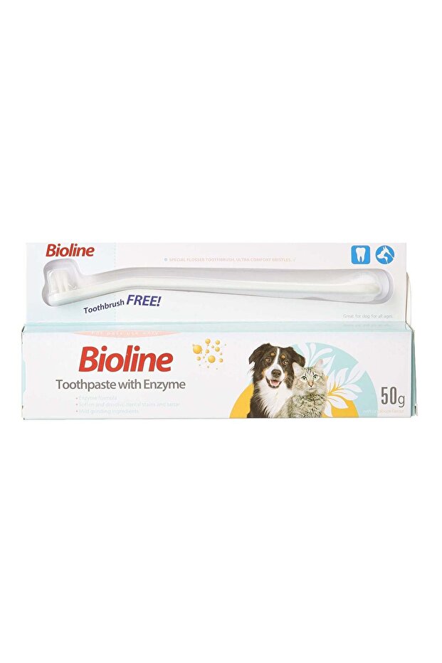 Dental Tooth Paste With Enzyme Hygienic 50 G, Multicolor