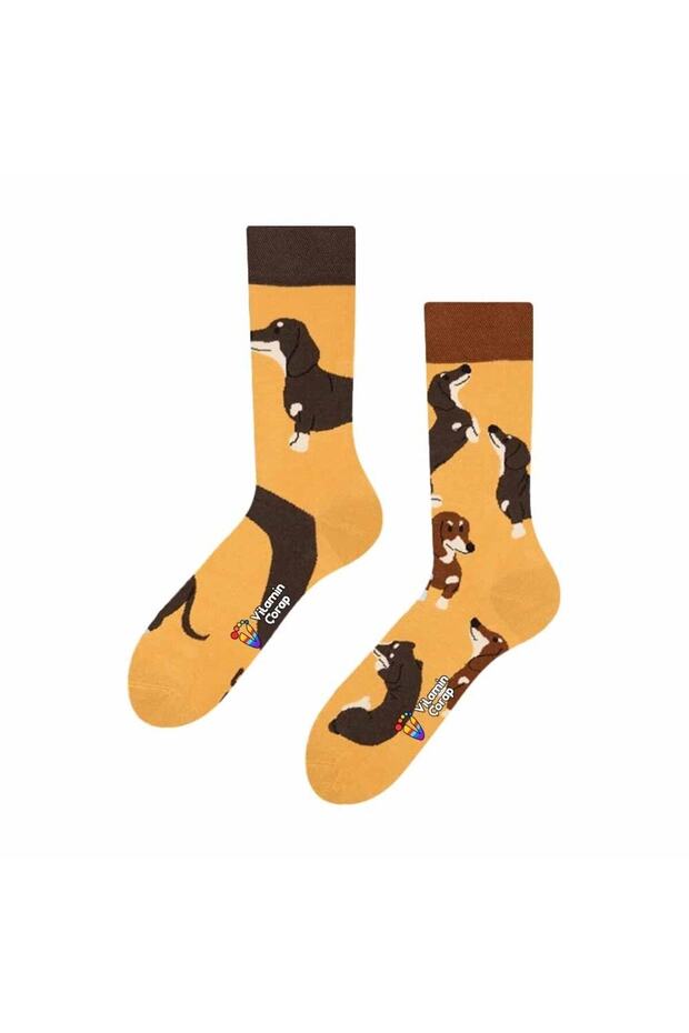 Dogs Colorful Socks - 1