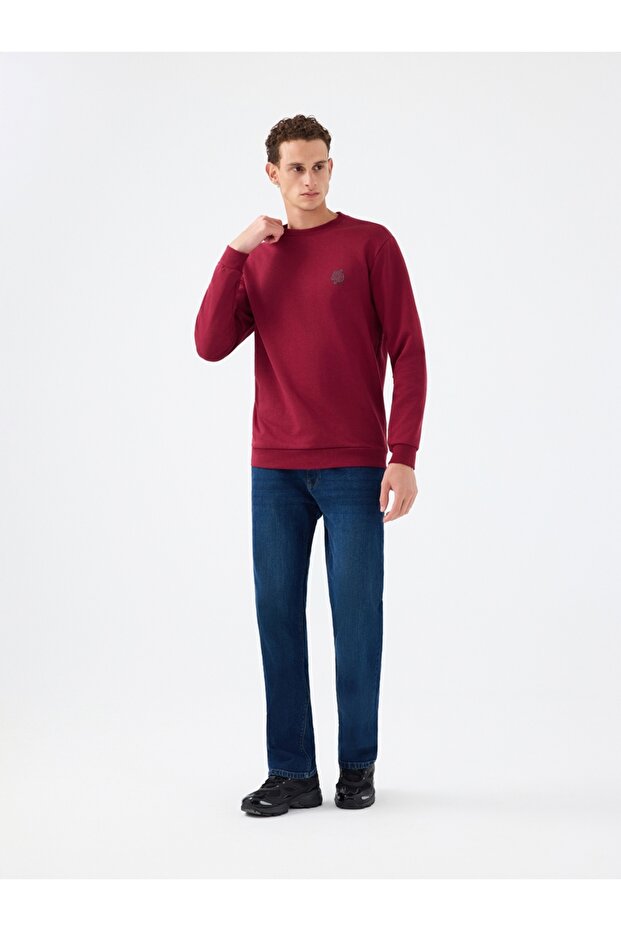Regular Fit Erkek Sweatshirt - 2