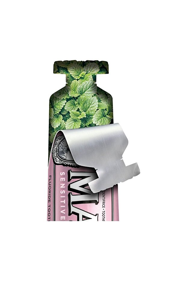 Sensitive Gums Gentle Mint Toothpaste 75 ml - 6