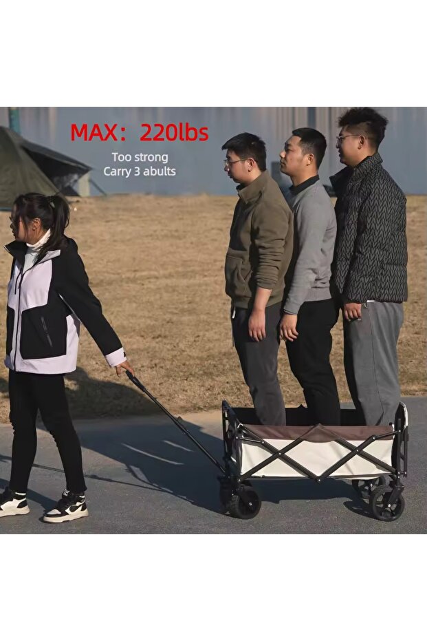 Shopping cart foldable - 3