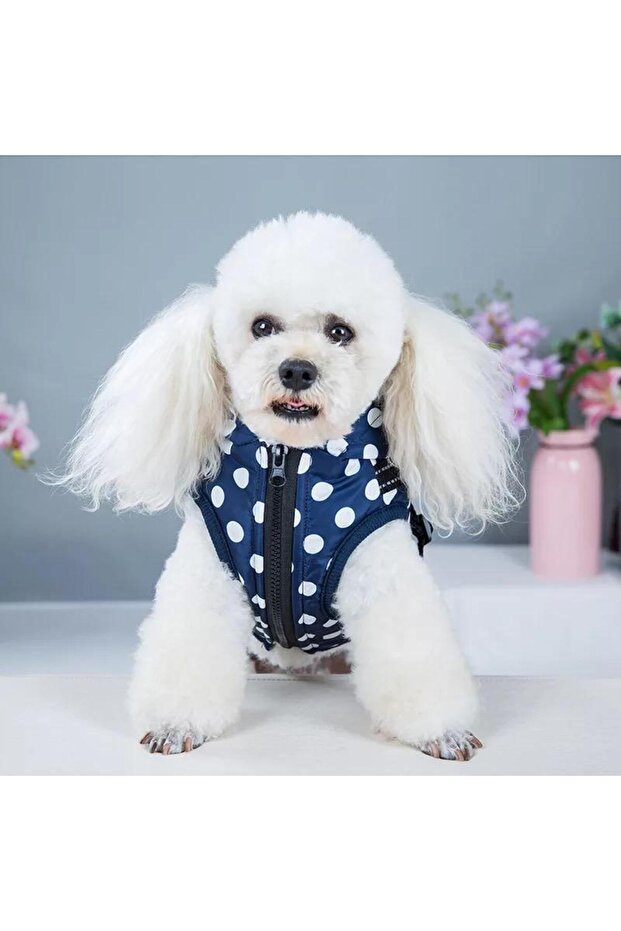 Polka dot puppy jacket - 5