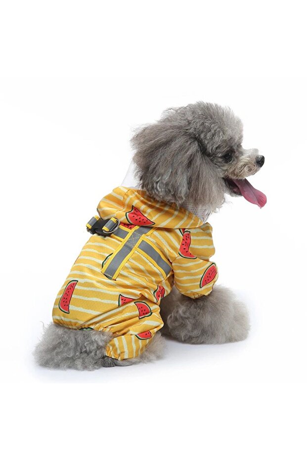 Puppy jacket - 3