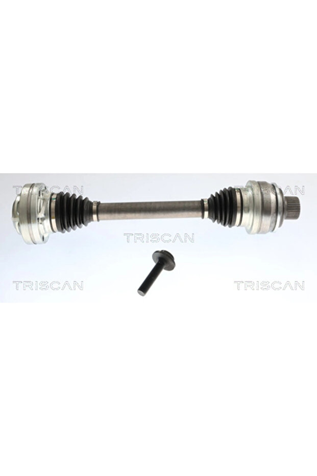 Audi E-Tron driveshaft - 1