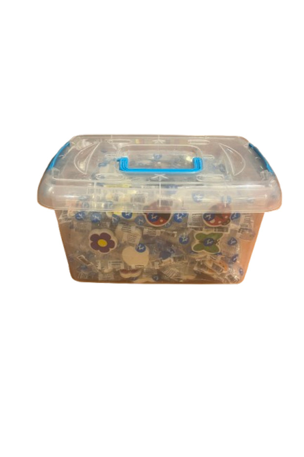 Multi-Purpose Storage Container (6 Lt) Transparent - 2