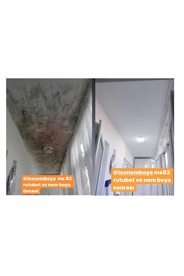 MS82 Rutubet ve Nem Boyası 5 Kg - 4