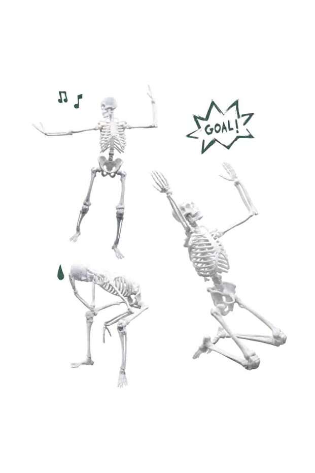 هيكل عظمي 45 سم - 4