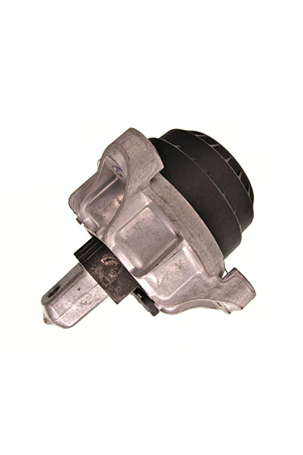 Bmw 5 Engine Mount - 1