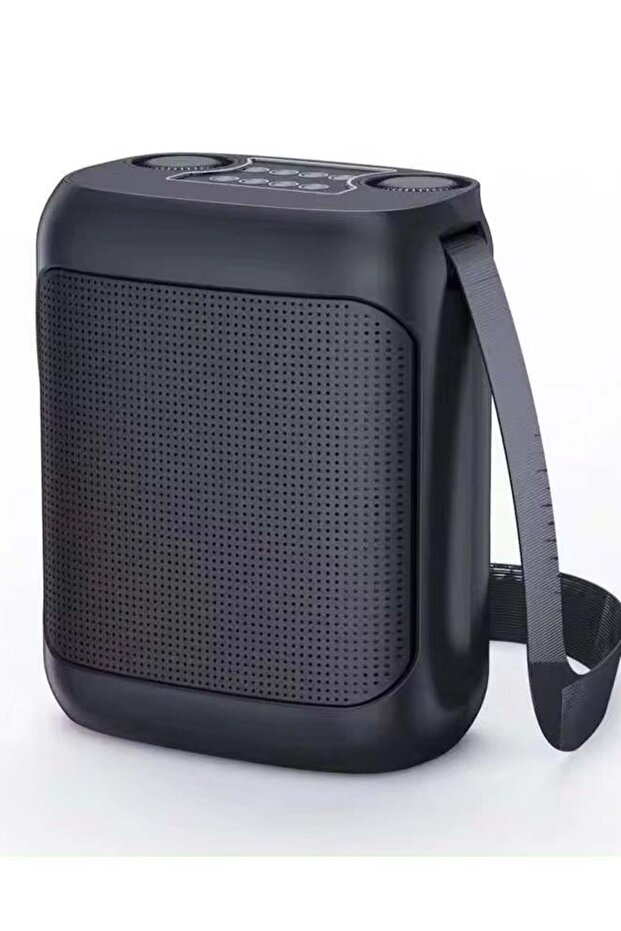 -220 Outdoor Karaoke Speaker Big Strap Speaker With Dual UHF Wireless Microphone Black