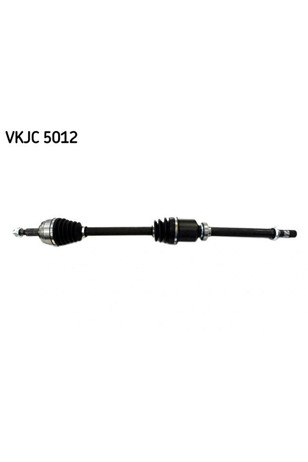 Planetara Dacia Duster - 1