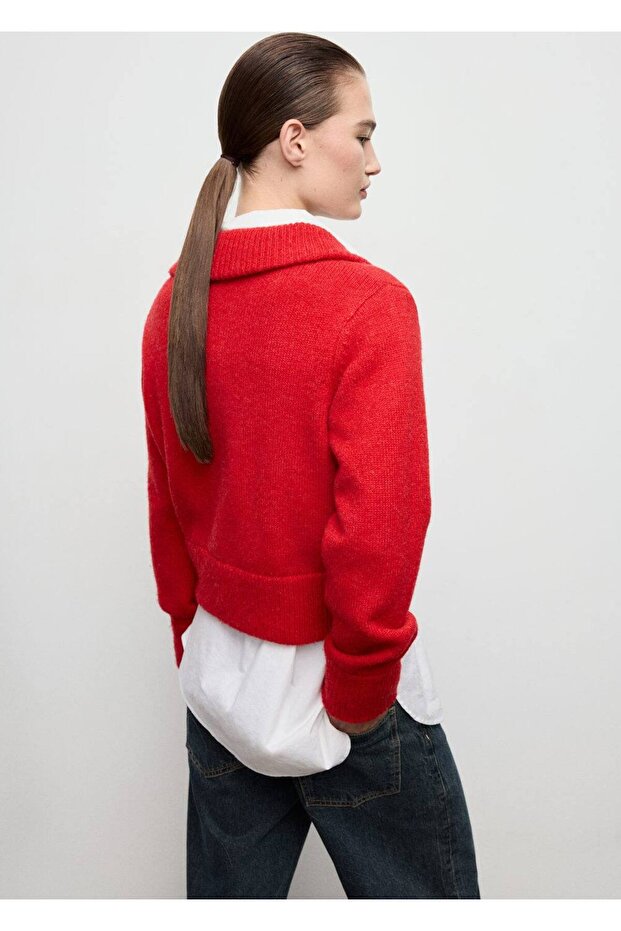 Gömlek yaka hırka - 4