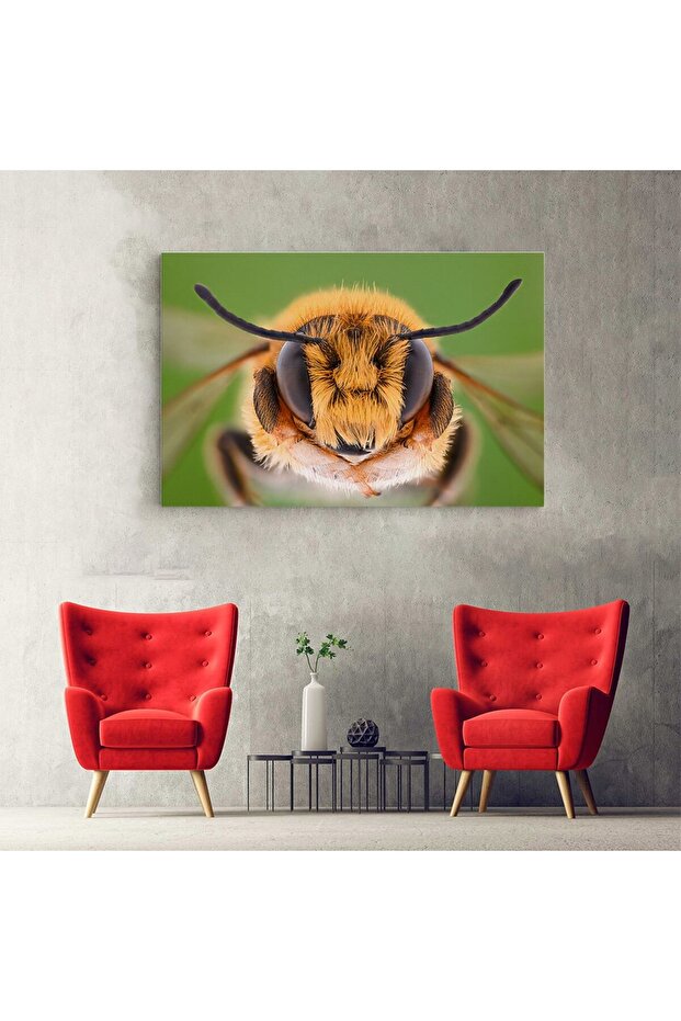 Macro bee head painting, code 1905 - 6