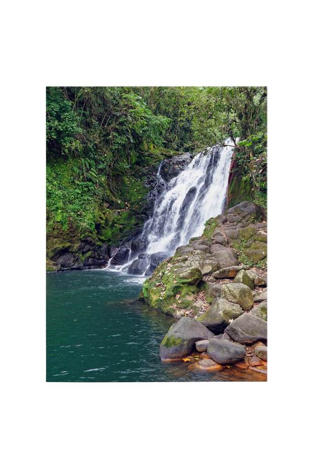 Waterfall landscape painting, code 3139 - 2