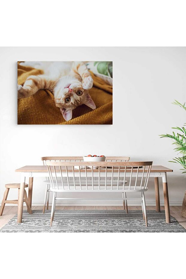 Painting cat playing, code 4207 - 3