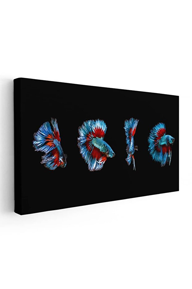 Siamese betta fish painting, code 1815 - 1