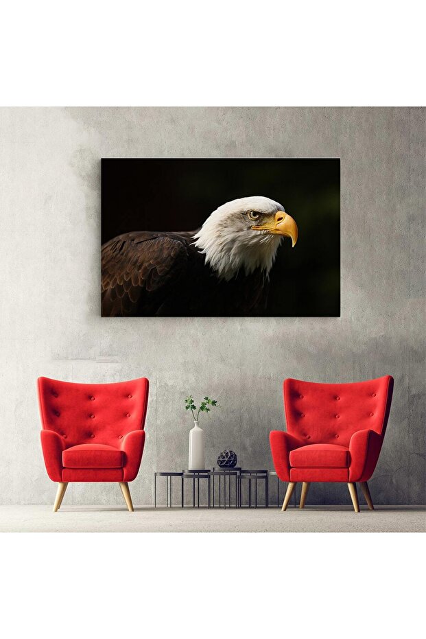 White-headed eagle painting, eagles, code 3099 - 4
