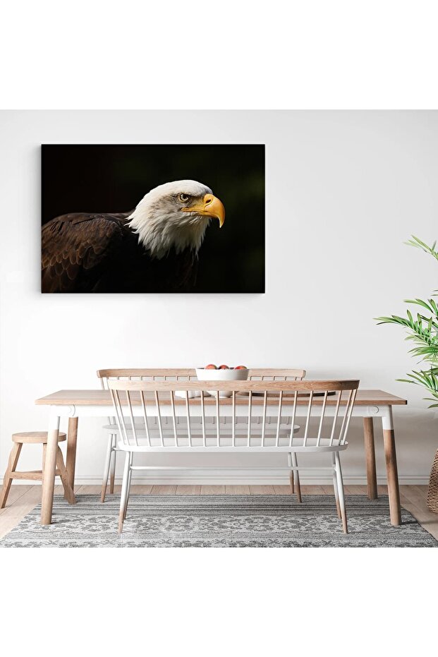 White-headed eagle painting, eagles, code 3099 - 3