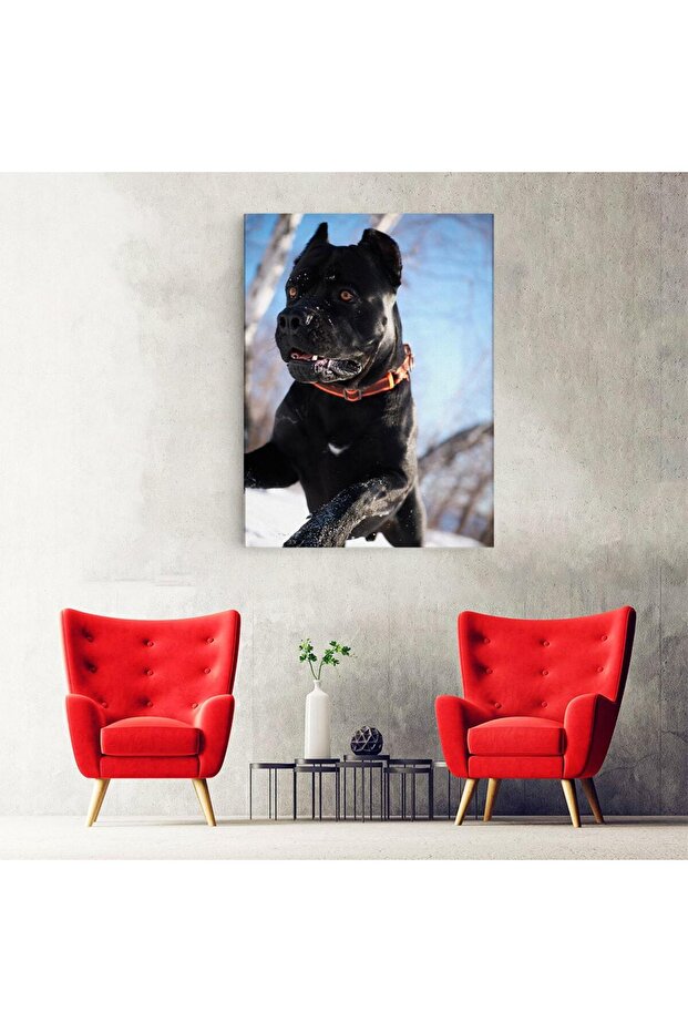 Tablou caine Cane Corso, cod 4162 - 4