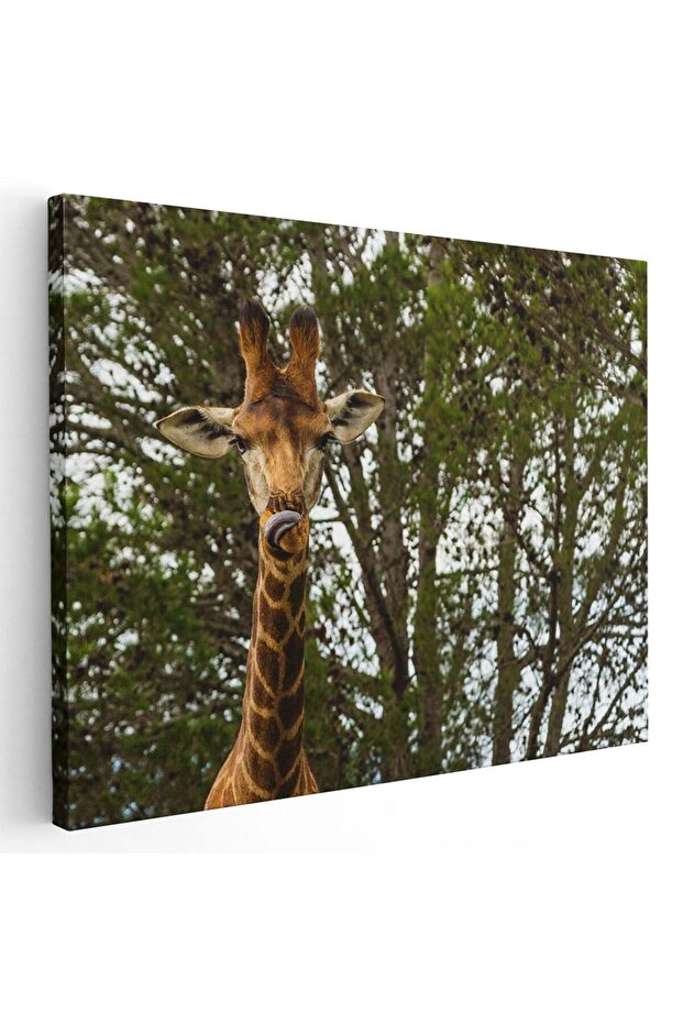 Tablou cap girafa, cod 3229 - 1