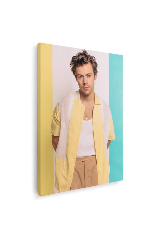 Tablou Harry Styles cantaret, cod 2086