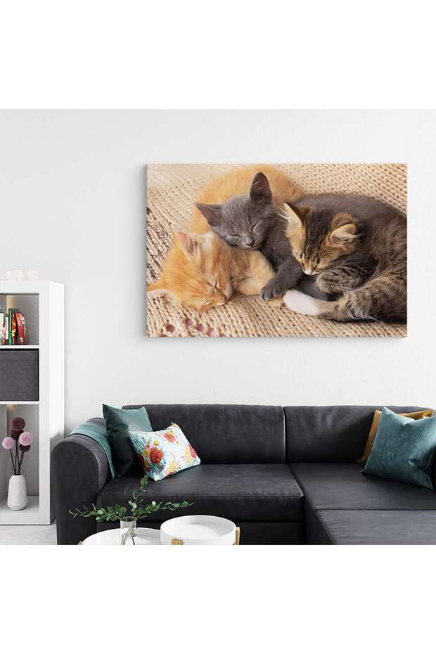 Painting 3 sleeping kittens, code 3072 - 5