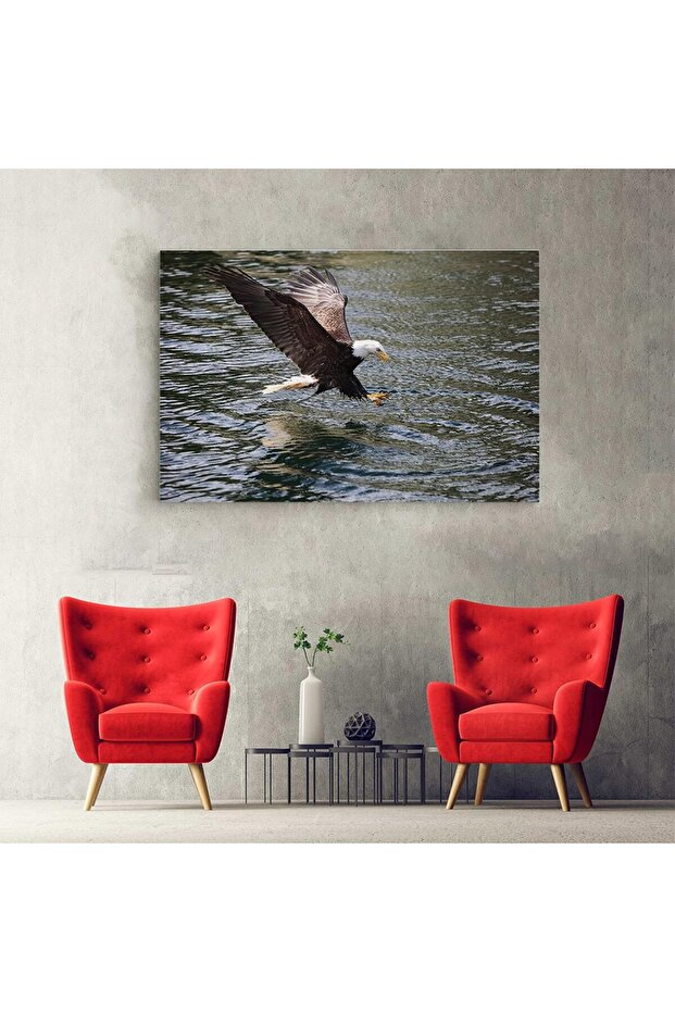 Bald eagle painting in flight, code 3098 - 3