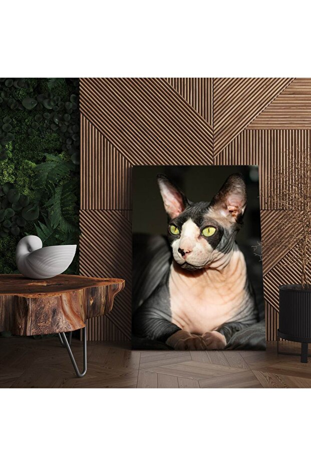 Sphynx cat painting, code 4246 - 5