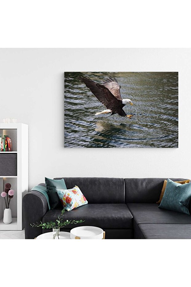 Bald eagle painting in flight, code 3098 - 4