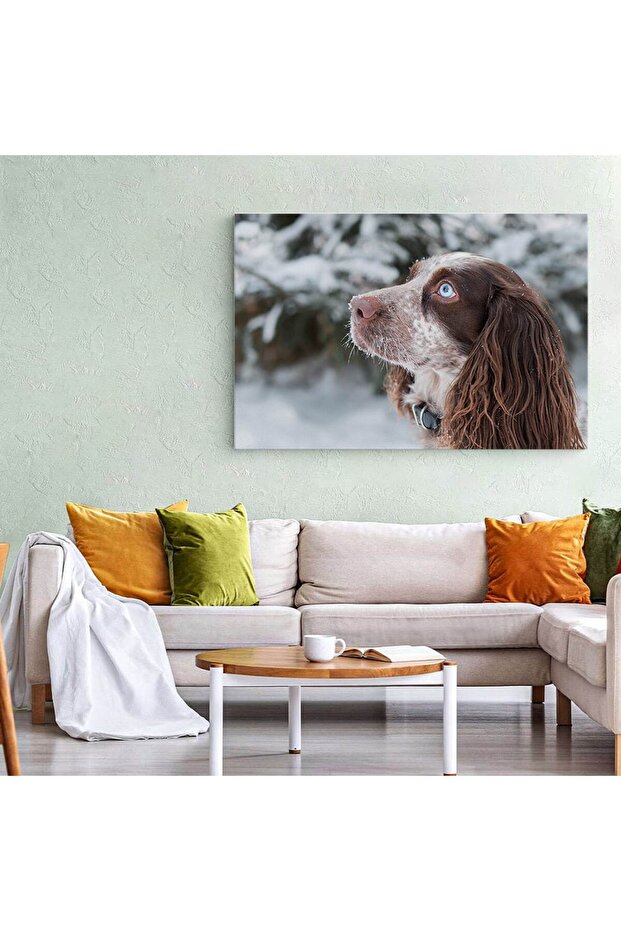 Tablou caine Cocker Spaniel, cod 4181 - 6