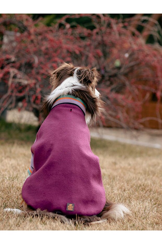 Bomber Jacket | Berry Burst - 6