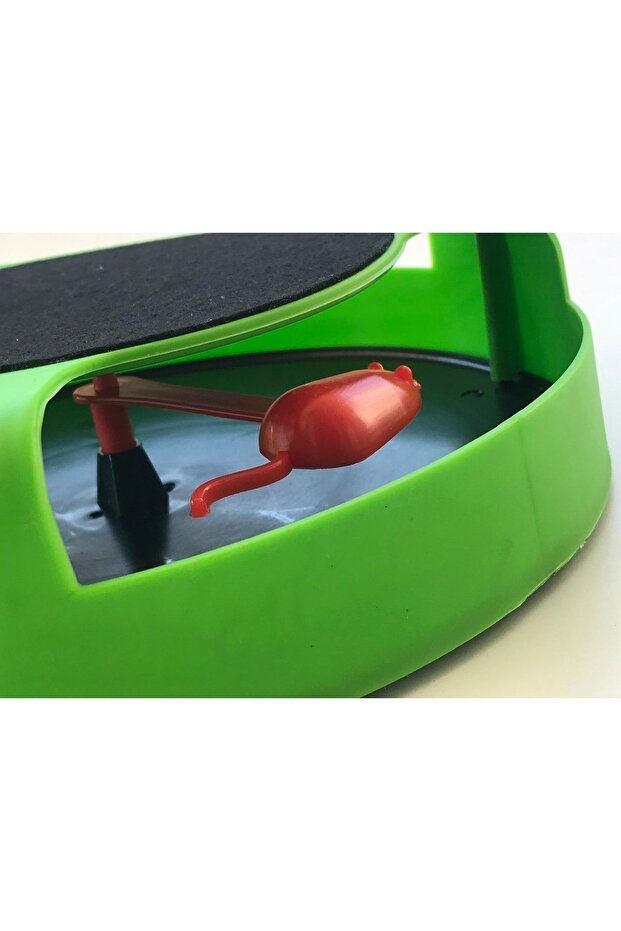 Catch the Mouse Cat Toy – Rotating Mechanism and Scratching Pad - 3
