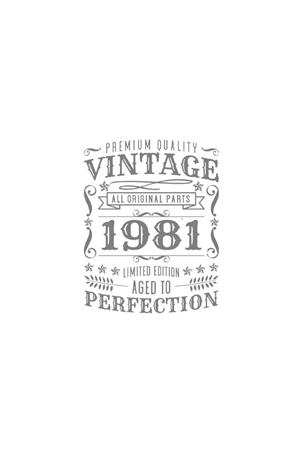 1981 وصلت إلى الكمال - 3