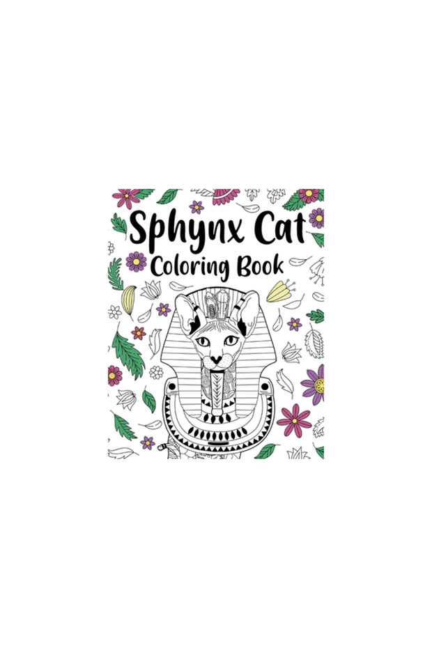 Sphynx Cat Coloring Book - 1
