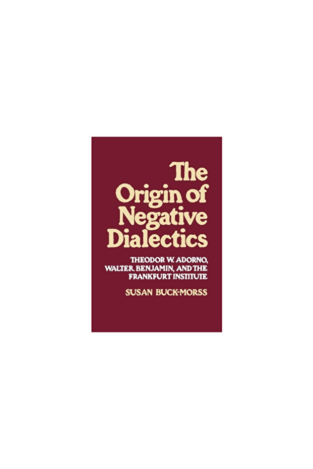 Origin of Negative Dialectics - 1