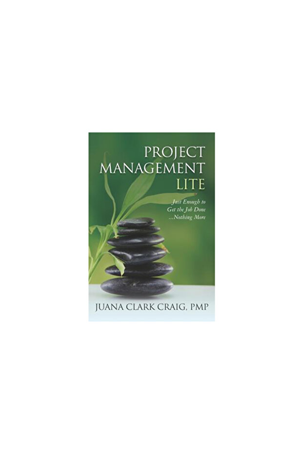 Project Management Lite: Just Enough to Get the Job Done, Nothing More - 1
