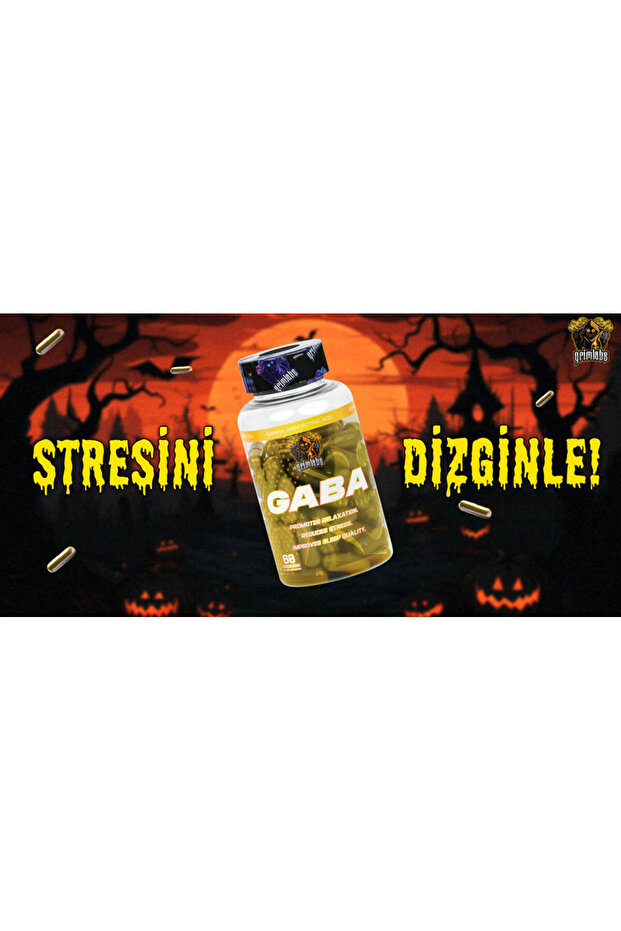 GABA 500 MG 60 SERVINGS - 2