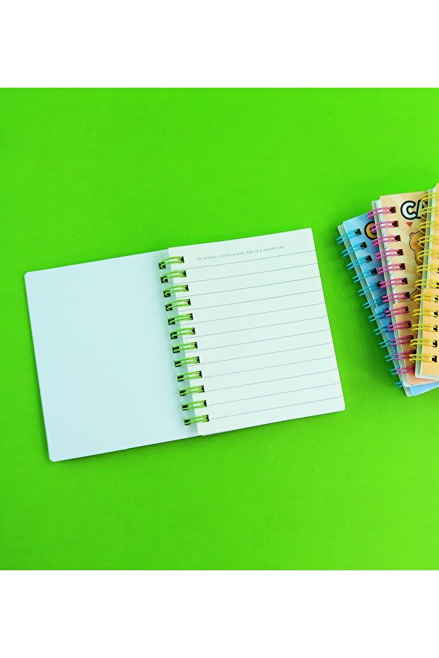 دفتر ملاحظات كابيبارا ذو خطوط حلزونية - 2