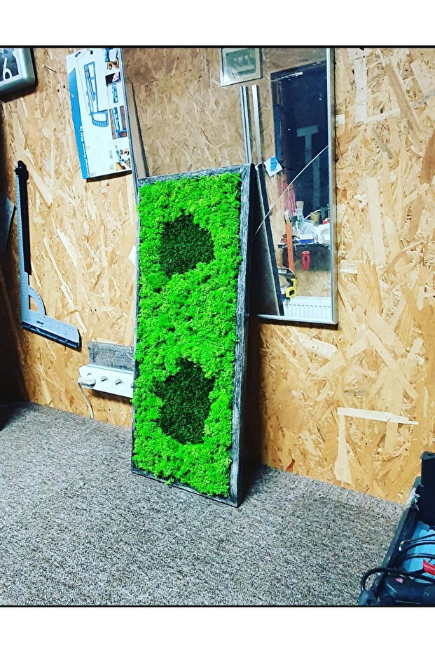 Tableau with Stabilized Lichen 70x30 cm - 3