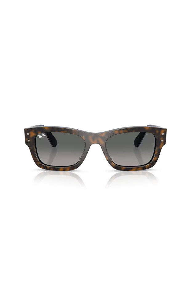 0Rb7683S 140171 55 Sunglasses
