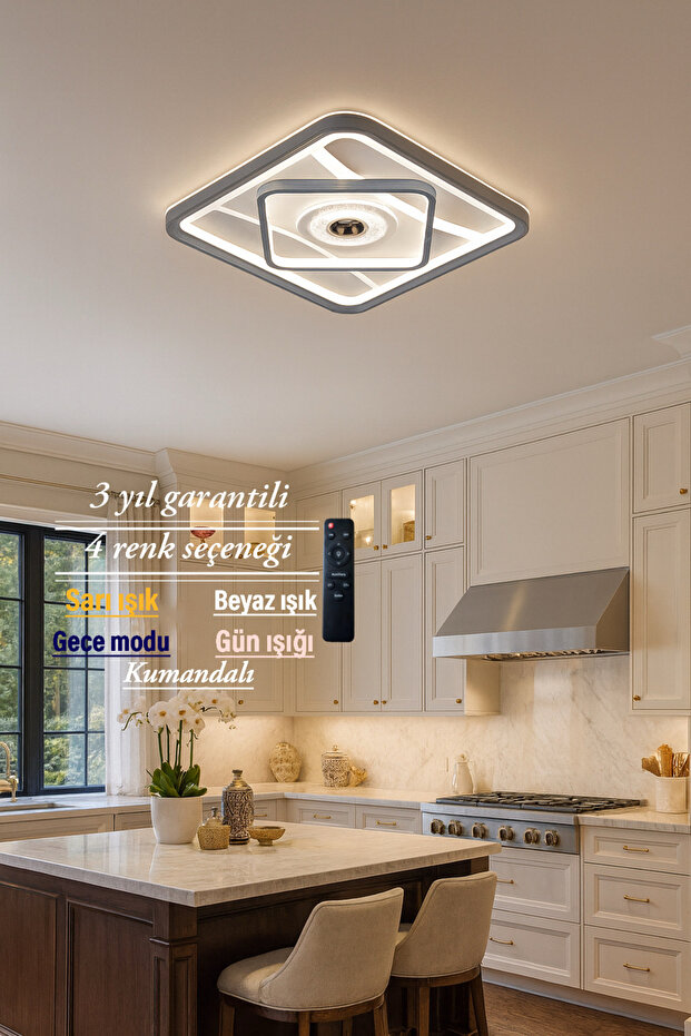 Lucent Modern Plafonyer İç Detay Led Avize - 2