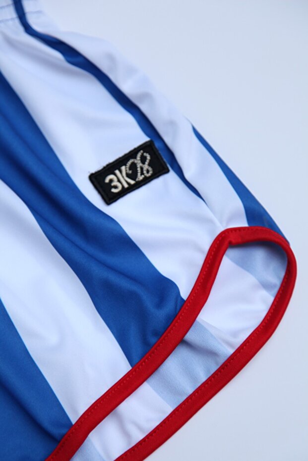 Çubuklu Forma Şort - 2