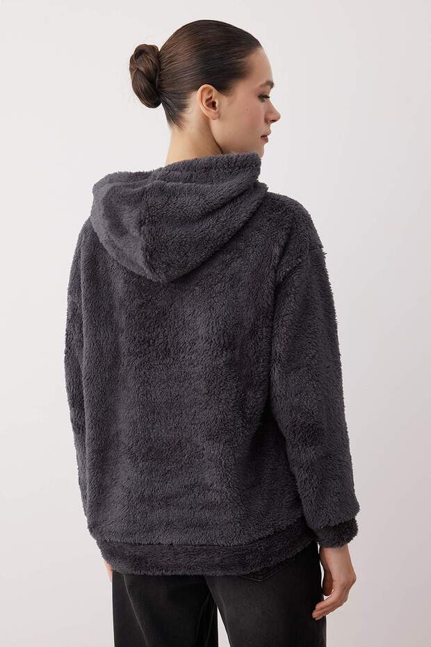 Antrasit Peluş Etiket Detaylı Regular/Normal Kalıp Peluş Örme Sweatshirt TWOAW26SW00221 - 4