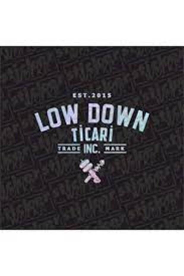 Low down Commercial Back Glass Hologram Sticker 20 X 15.5 cm