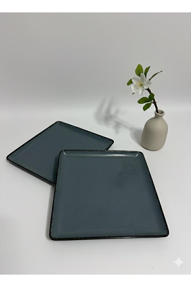 Tan 2 Pieces 25X25 cm Flat Plate Blue