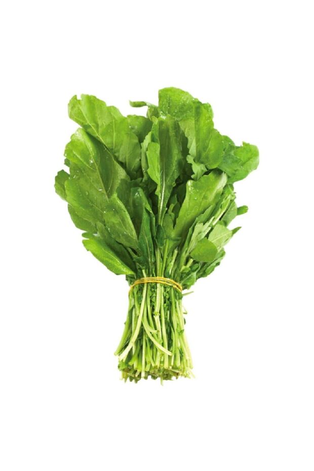 Tere Fidesi 10 Adet - 3