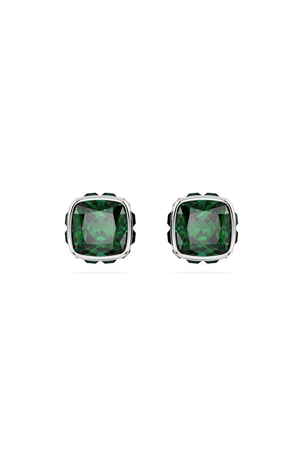 Swr 5660801   Women Earrings