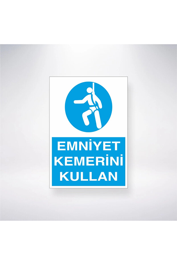 Use Seat Belt 21x28 Adhesive Back Sticker