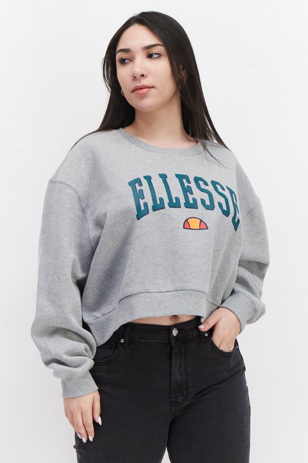 Women Round Neck Brand Logo Long Sleeve Sweatshirts, Grey Combo