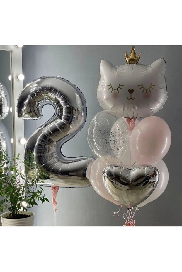 Party 2 Years Old Silver Number Foil Balloon King Cat Birthday Concept Birthday Set